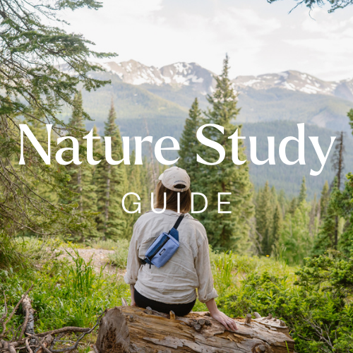 Nature Study