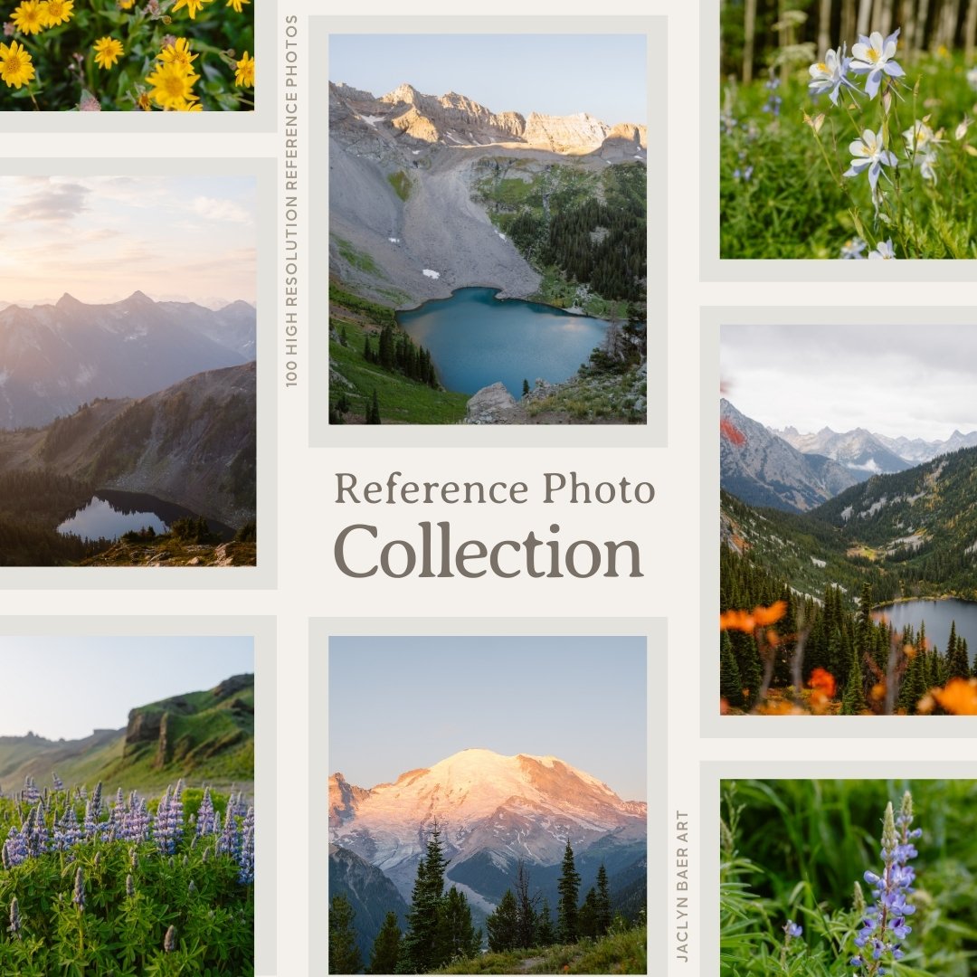 Reference Photo Collection: Mountains & Wildflowers - Image 4