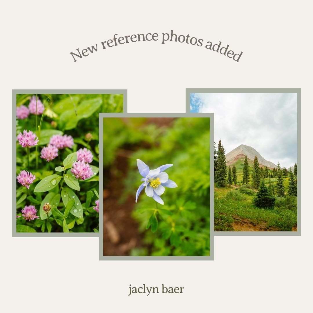 Reference Photo Collection: Mountains & Wildflowers - Image 5